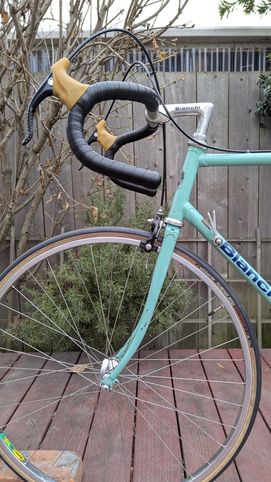 1984 Bianchi Alloro, 57cm. Restored/ Mostly Original