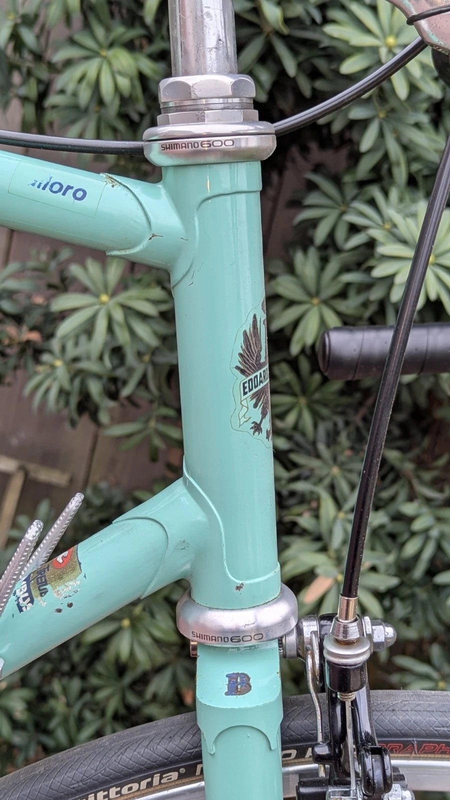1984 Bianchi Alloro, 57cm. Restored/ Mostly Original